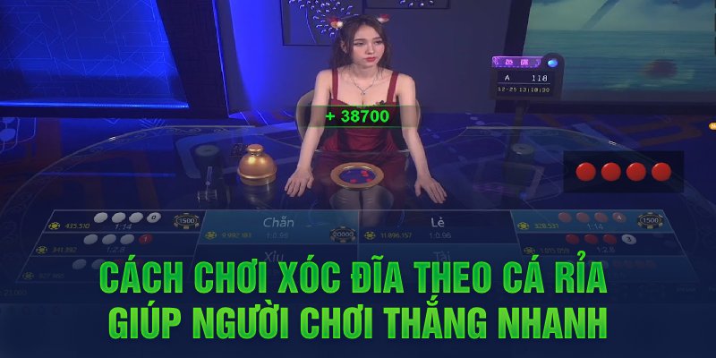 Cách chơi xóc đĩa theo cá rỉa giúp người chơi thắng nhanh