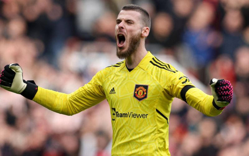 Tiểu sử thủ môn thiên tài Tây Ban Nha David De Gea