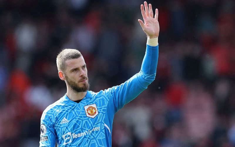 Tiểu sử thủ môn thiên tài Tây Ban Nha David De Gea