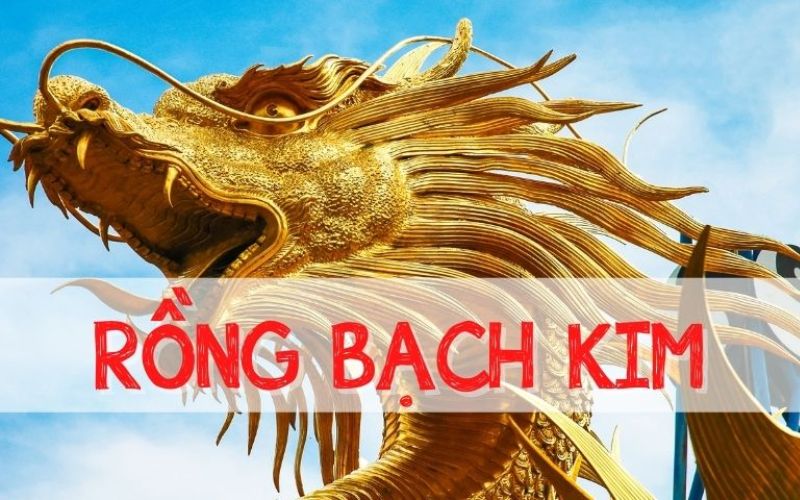 Soi cầu Rồng Bạch Kim 666 là gì?